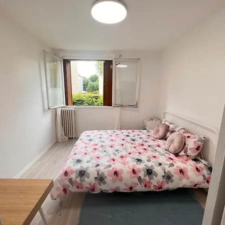 Appt 50m2 /3p Refait A Neuf Proche Du Metro 8 * Maisons-Alfort